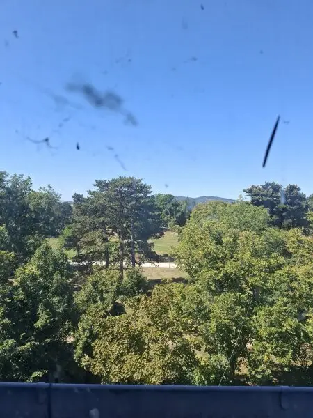 Zum Entwickeln: Zinshaus mit Parkblick Nähe Schloss Schönbrunn