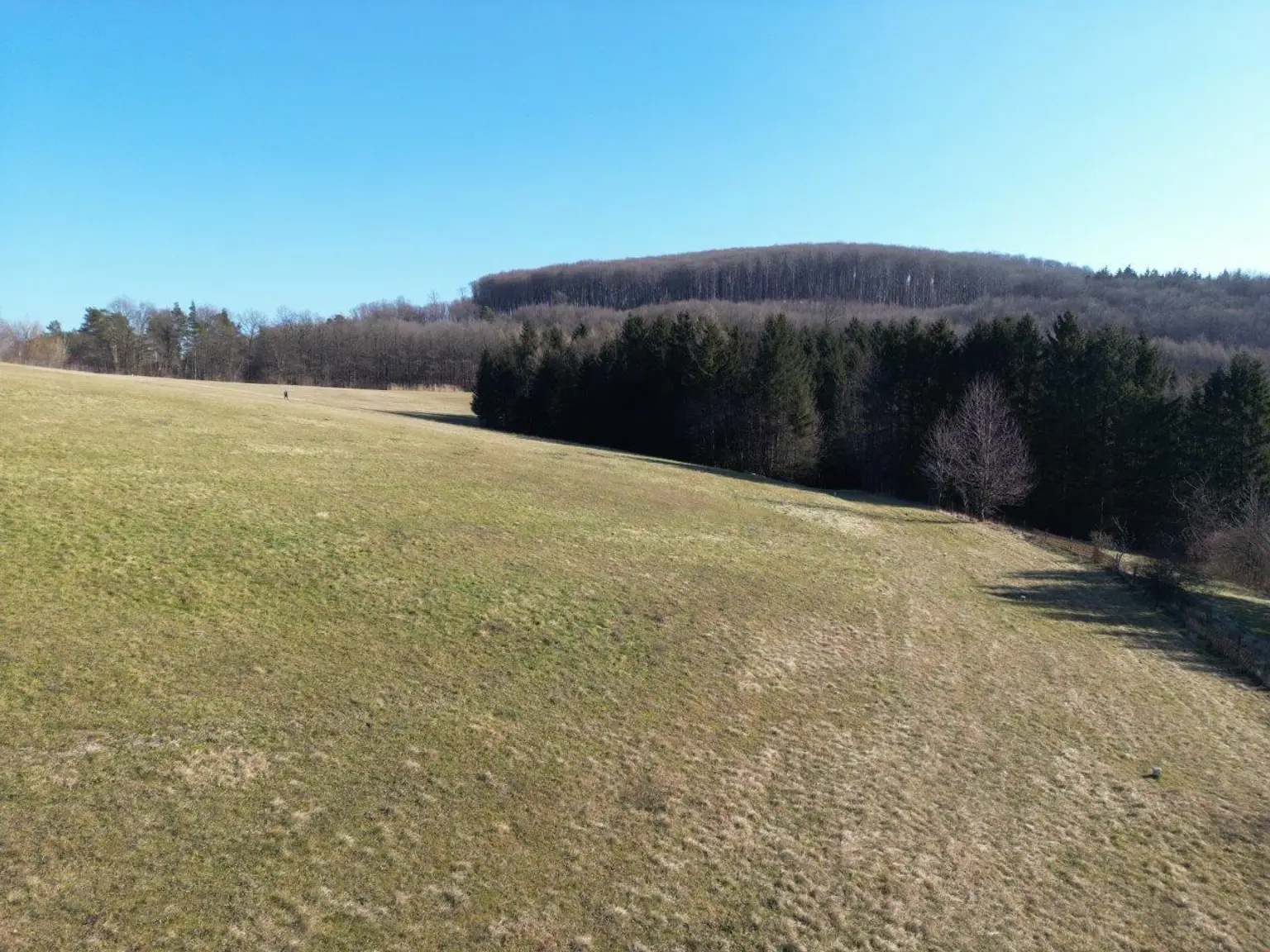 LANDWIRTSCHAFT VOR DEN TOREN WIENS
