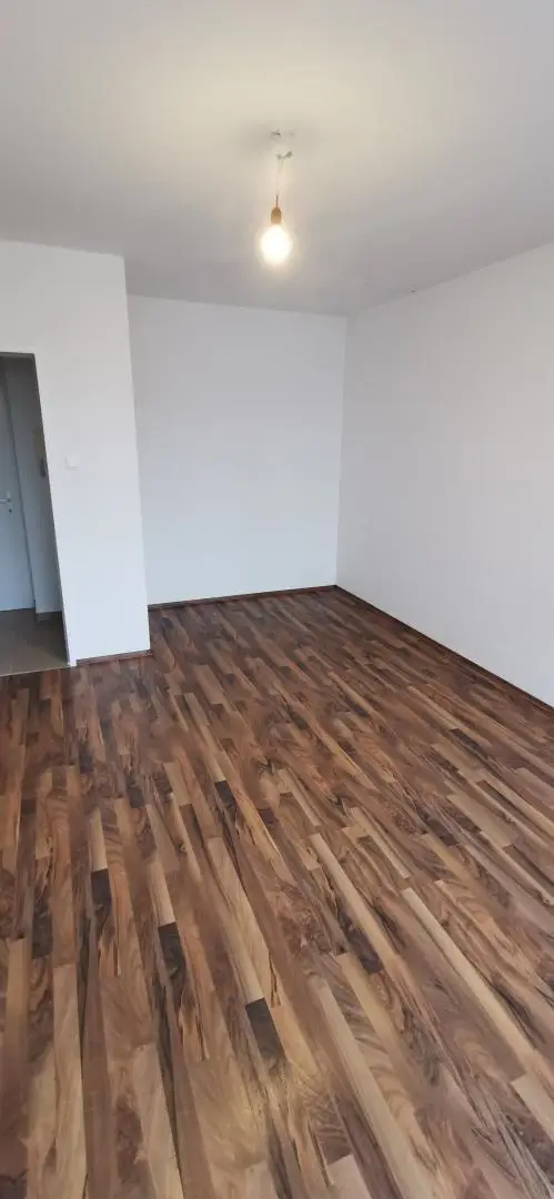 Schönste Wohnung in der Peter Kaisergasse