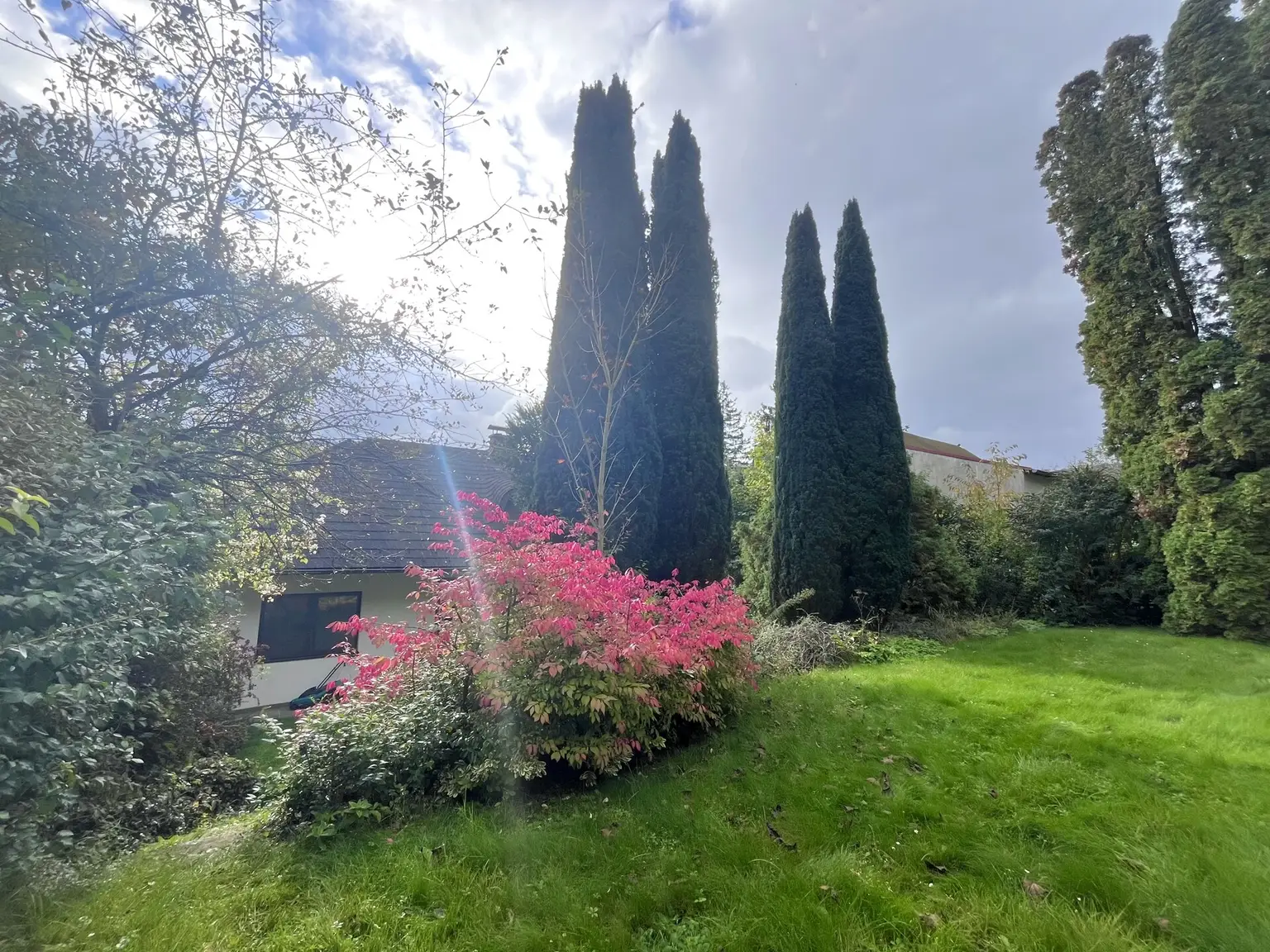 Gepflegtes Einfamilienhaus in absoluter Ruhelage