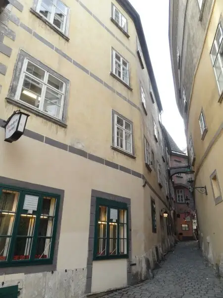 Kunst, Kultur, Citylife - charmante 3-Zimmer-Altbauwohnung bei Schwedenplatz!