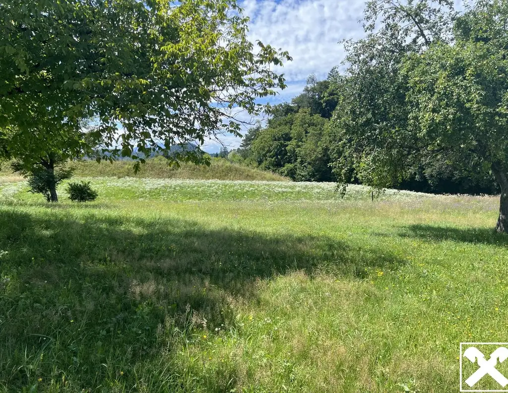 Ruhiges Idyll am Waldrand