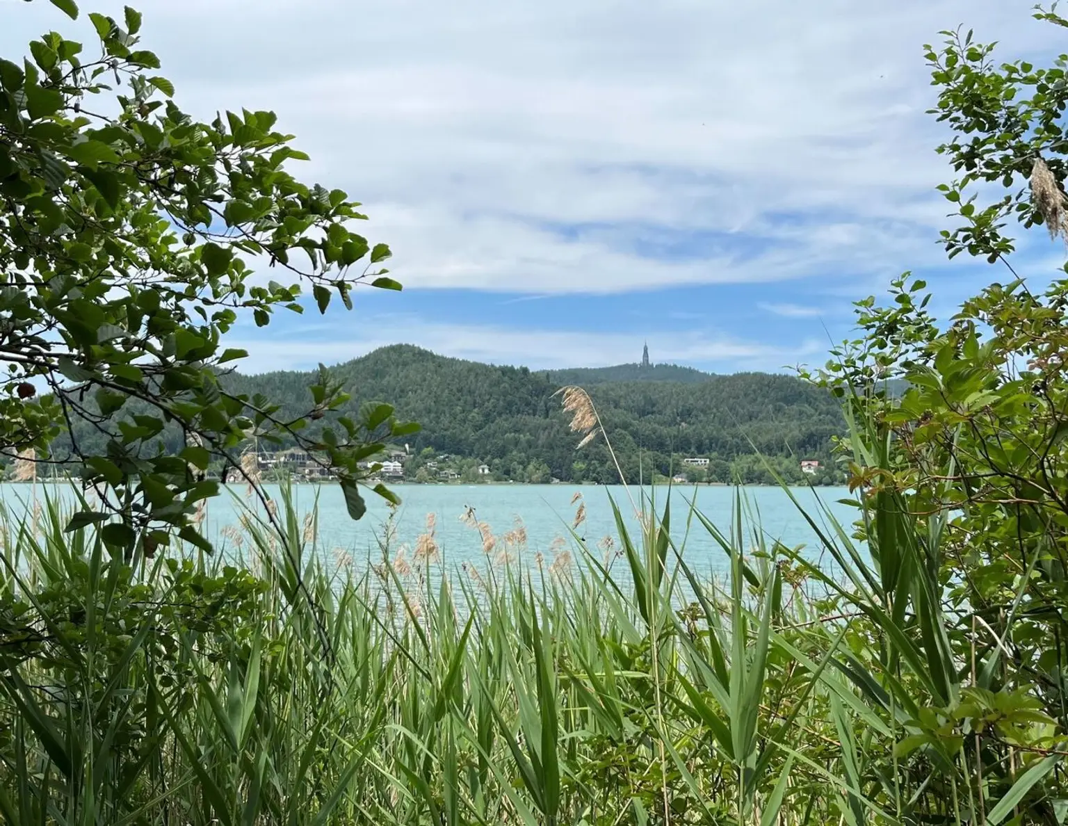 Natur pur am Keutschacher See