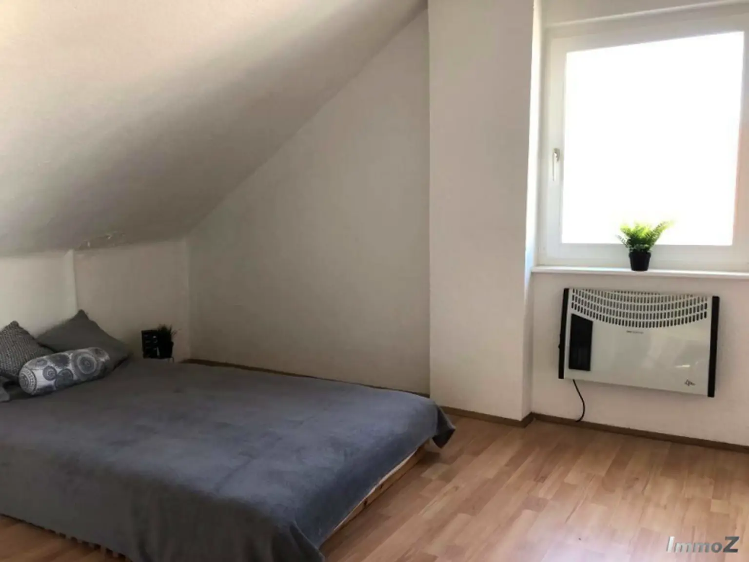 zimmer1