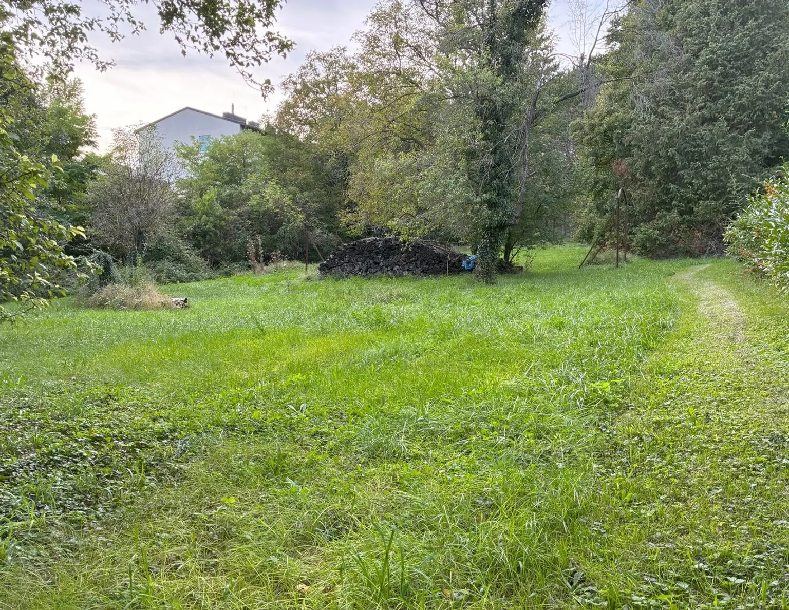 Exklusives Baugrundstück in begehrter Lage in Hinterbrühl - zu kaufen in 2371 Hinterbrühl