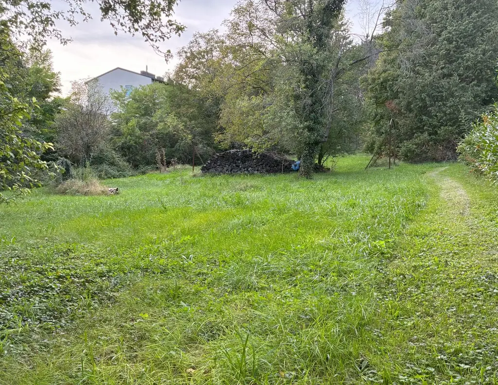 Exklusives Baugrundstück in begehrter Lage in Hinterbrühl - zu kaufen in 2371 Hinterbrühl