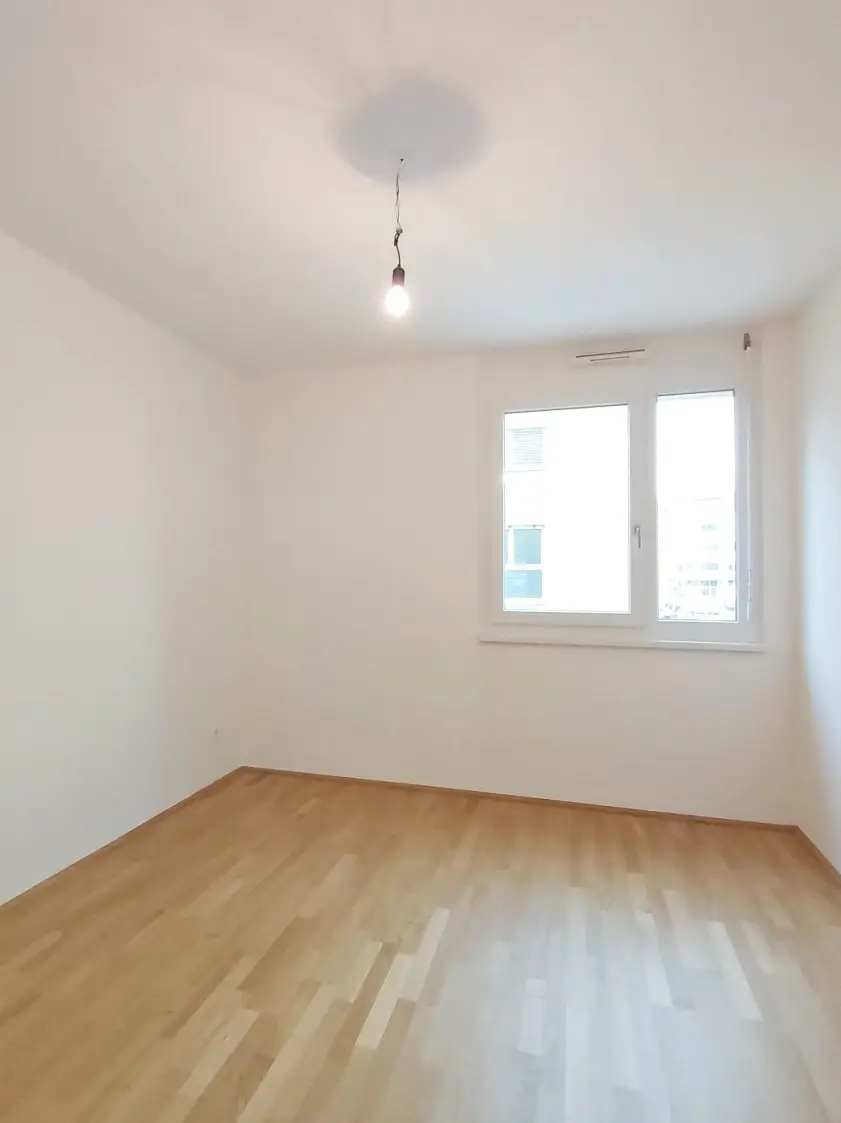 Zimmer III