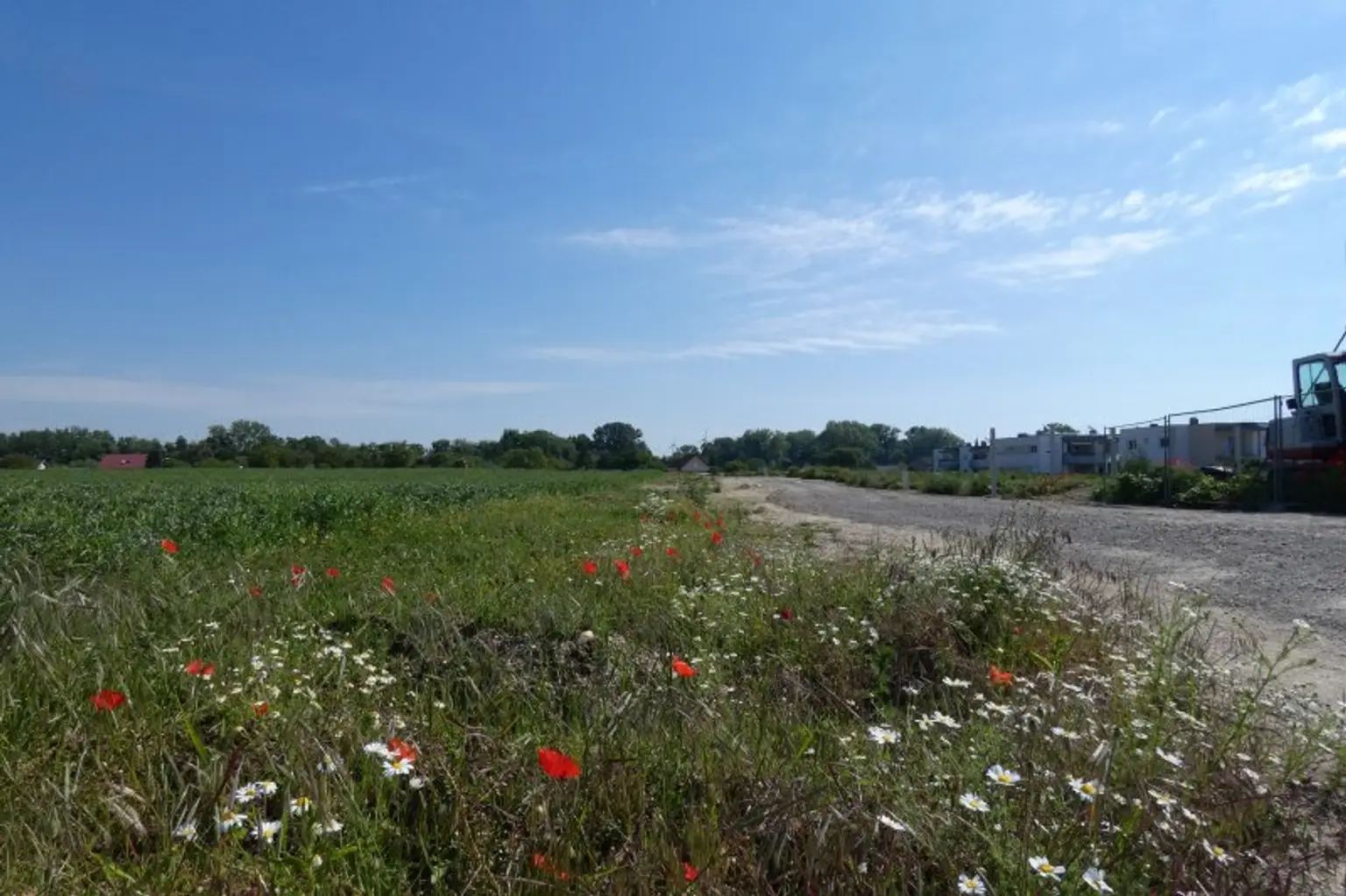 ECKGRUNDSTÜCK INMITTEN SCHÖNER NATUR NÄHE WIEN BRATISLAVA