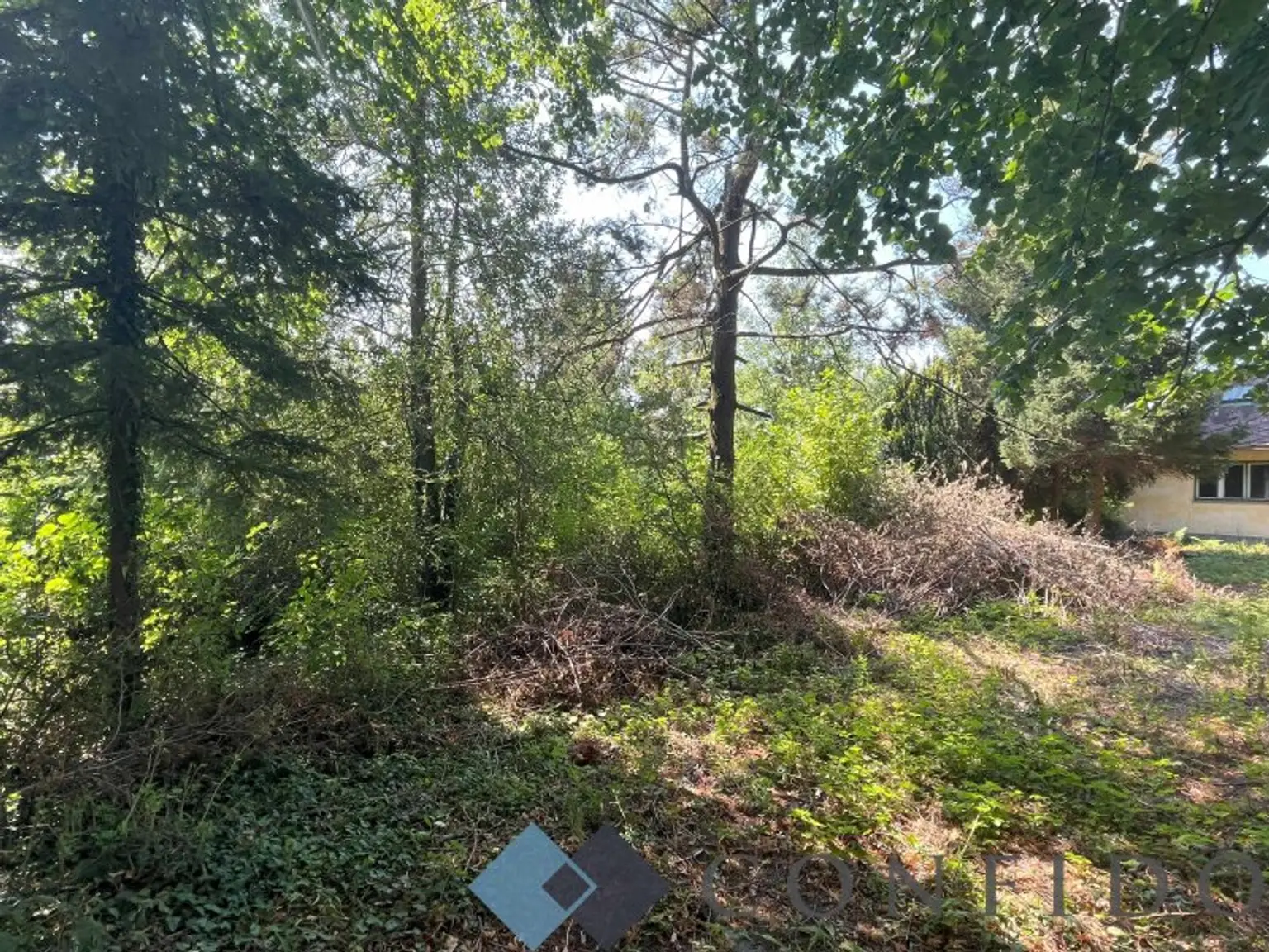 Rarität - Grundstücke in Ruhelage an der Grenze Wiens zu verkaufen!