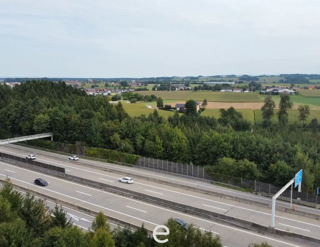 Sattledt - 2,5ha Betriebsbaugrund direkt an der Autobahn!