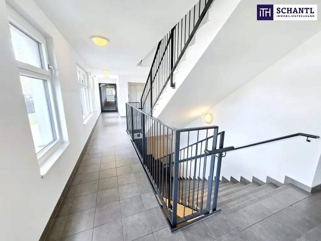 Ihre Wohlfühl-Oase in Best- und Ruhelage! Donauzentrum und Alte Donau um´s Eck! 3 ruhige Zimmer in Hoflage + Terrasse + Ideale öffentliche Anbindung! Jetzt zugreifen!