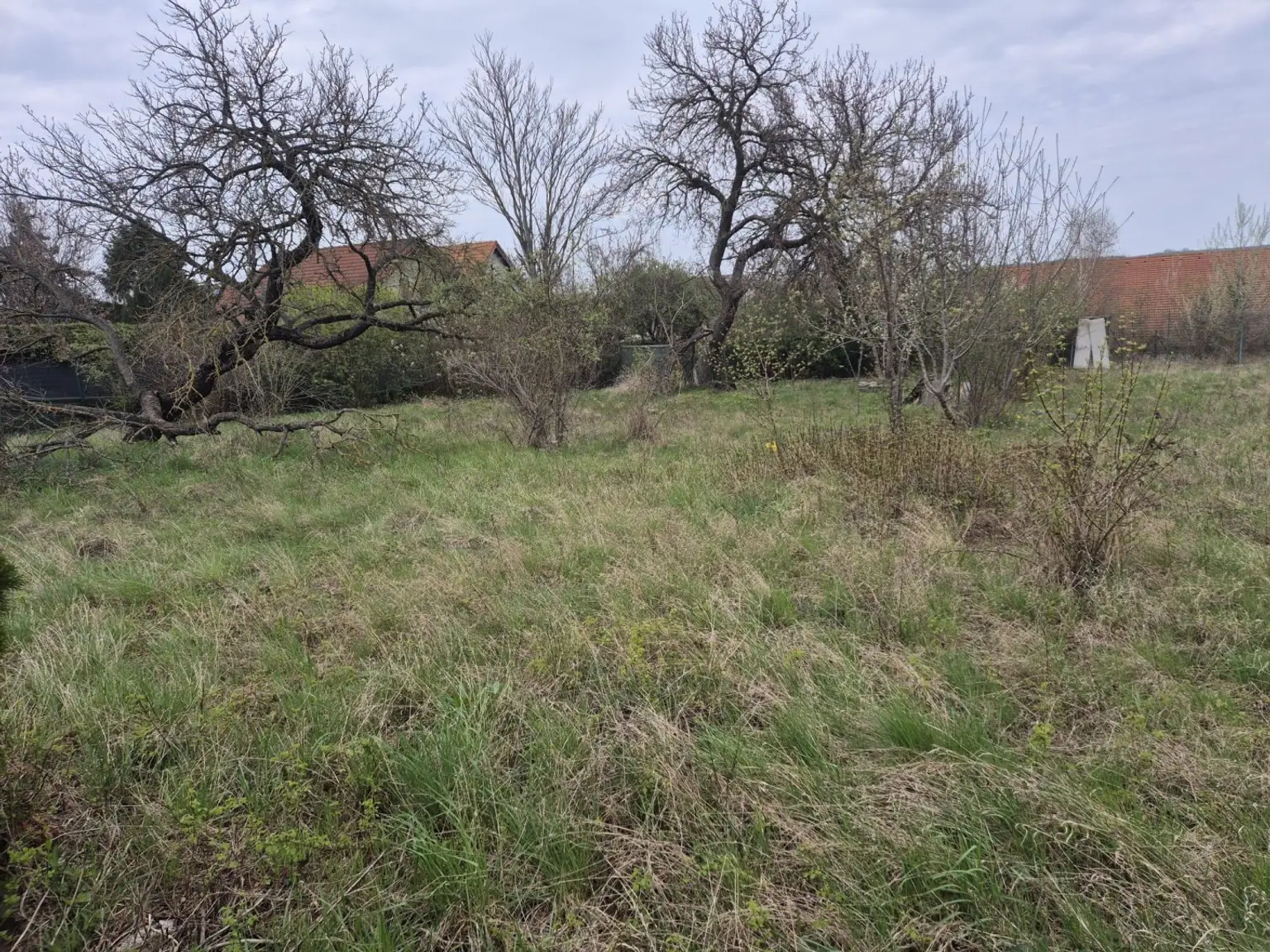 Grundstueck_623_5