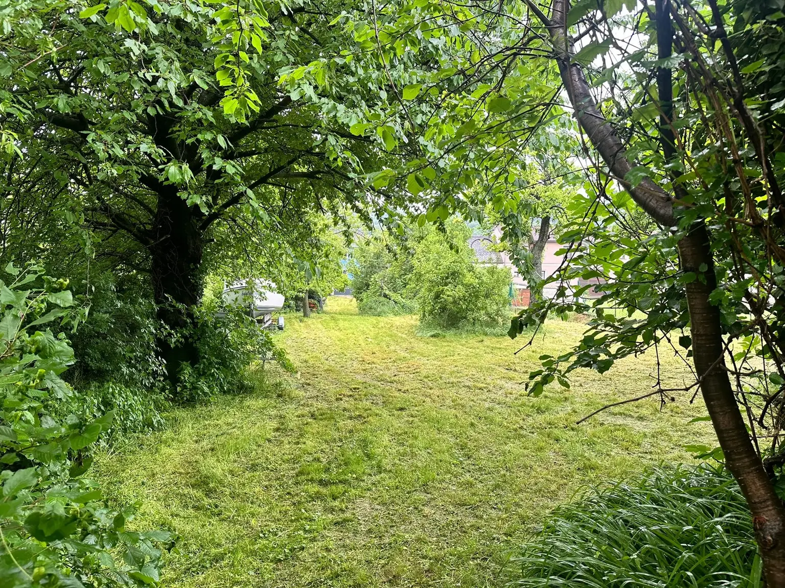 Grundstück mit Altbestand