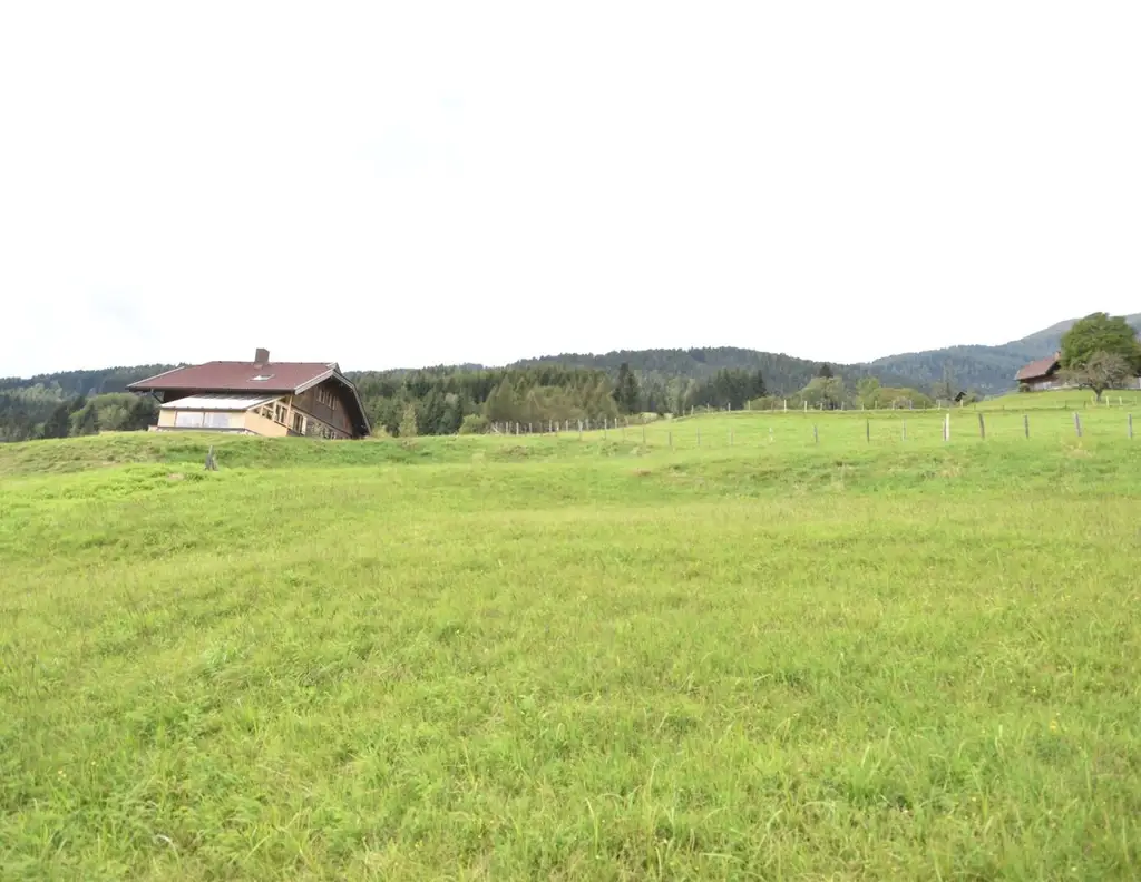 "Traumhaftes landwirtschaftlich genutztes Grünland nahe der Gerlitzenalpe"