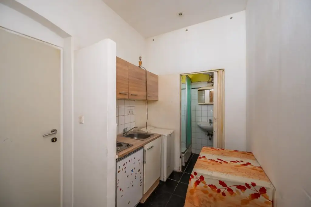 ++NEU++ Sanierungsbedürftige 1-Zimmer Altbau-Wohnung, viel Potenzial! Augartennähe!
