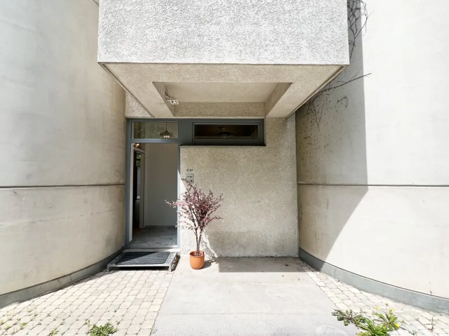 Sonnenterrasse, Garten und 5 Zimmer: Leben im Architektenhaus! 163m² Nutzfläche!