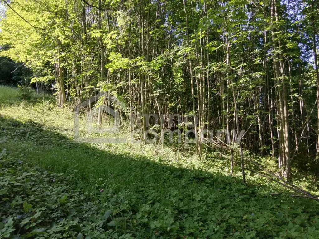 Ihr Grundstück in Hanglage mit absolutem Grünblick