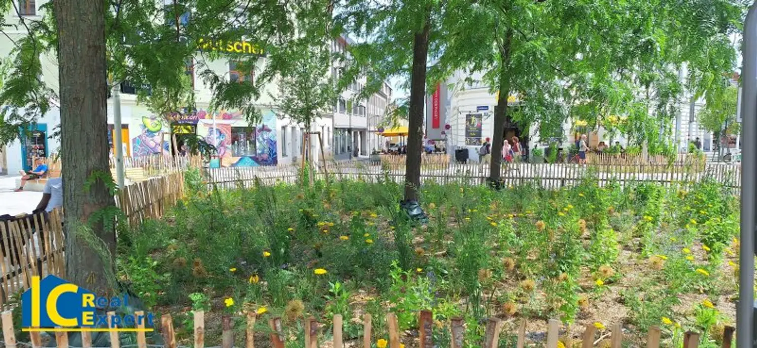 Großzügige Stadtwohnung im Biedermeierhaus, –schön, gepflegt und mit Garage!
