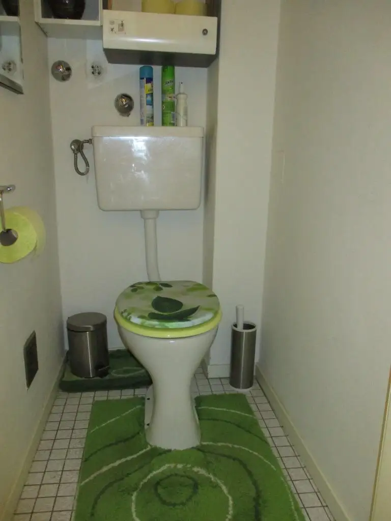 Gut vermietete Anlegerwohnung mit Balkon in Bruck/Mur zu kaufen !