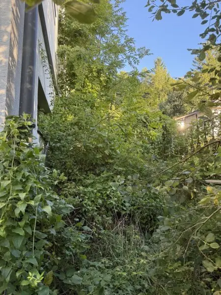Traumhaftes 1465 m² Grundstück in 3012 Wolfsgraben – Ihr Projekt wartet auf Sie!