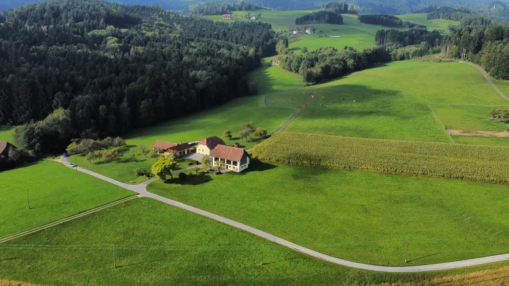 Bezaubernde Hofstelle in Thürn bei Wolfsberg!