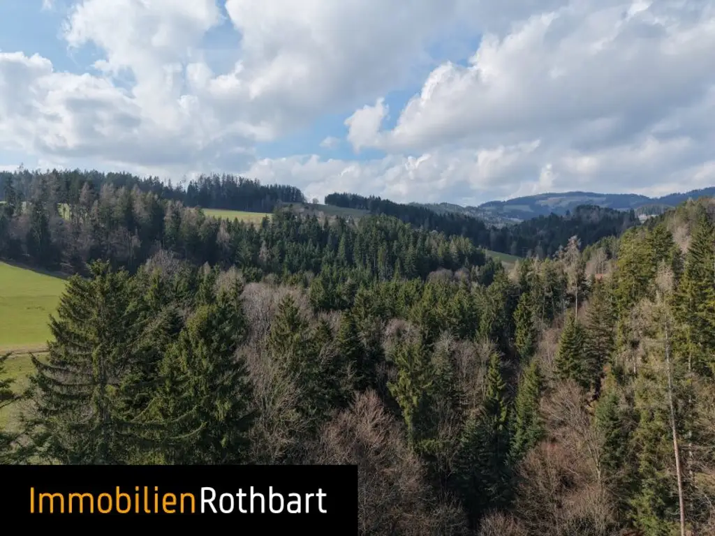 Wald mit Wiese und Zinshaus!