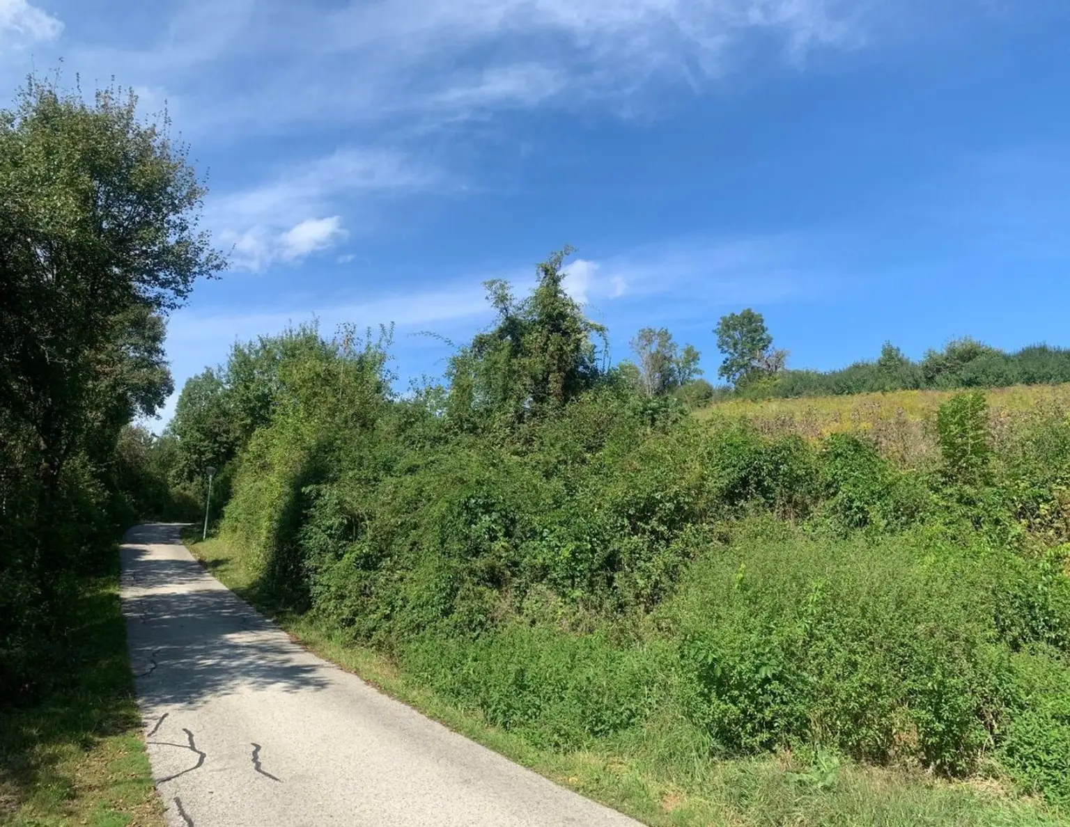 St Veit / St Donat : 2,7 Ha Land- und Forstw. -Grundstück mit Widmungpotenzial , zzt Pferde Weide mit Stall & Quelle, in traumhafter Lage in Kärnten - für 279.000,00 € zu haben!