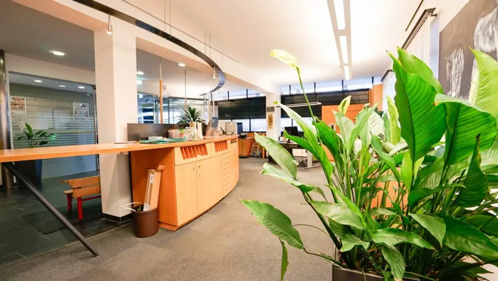 Ab sofort: zu Mieten: Großzügiges Geschäftslokal im Herzen von Igls