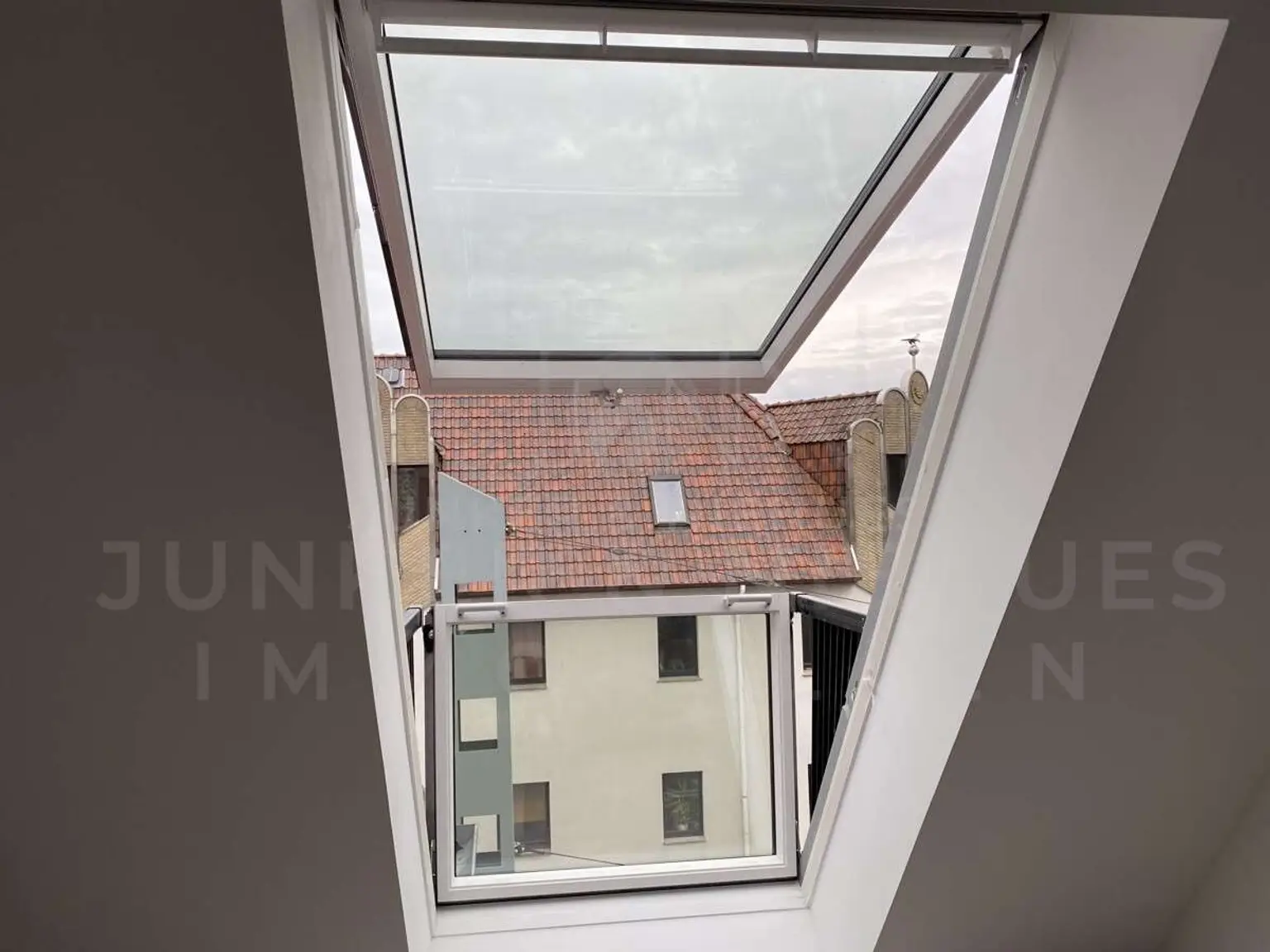 Cabrio Fenster
