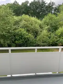 Balkonaussicht Wald