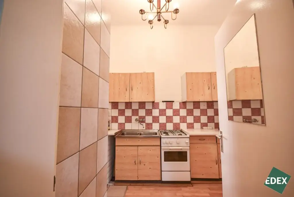 Ideal für kreative Gestalter oder Projektentwickler- Altbauwohnung – 1 Zimmer in Parknähe, 1200 Wien