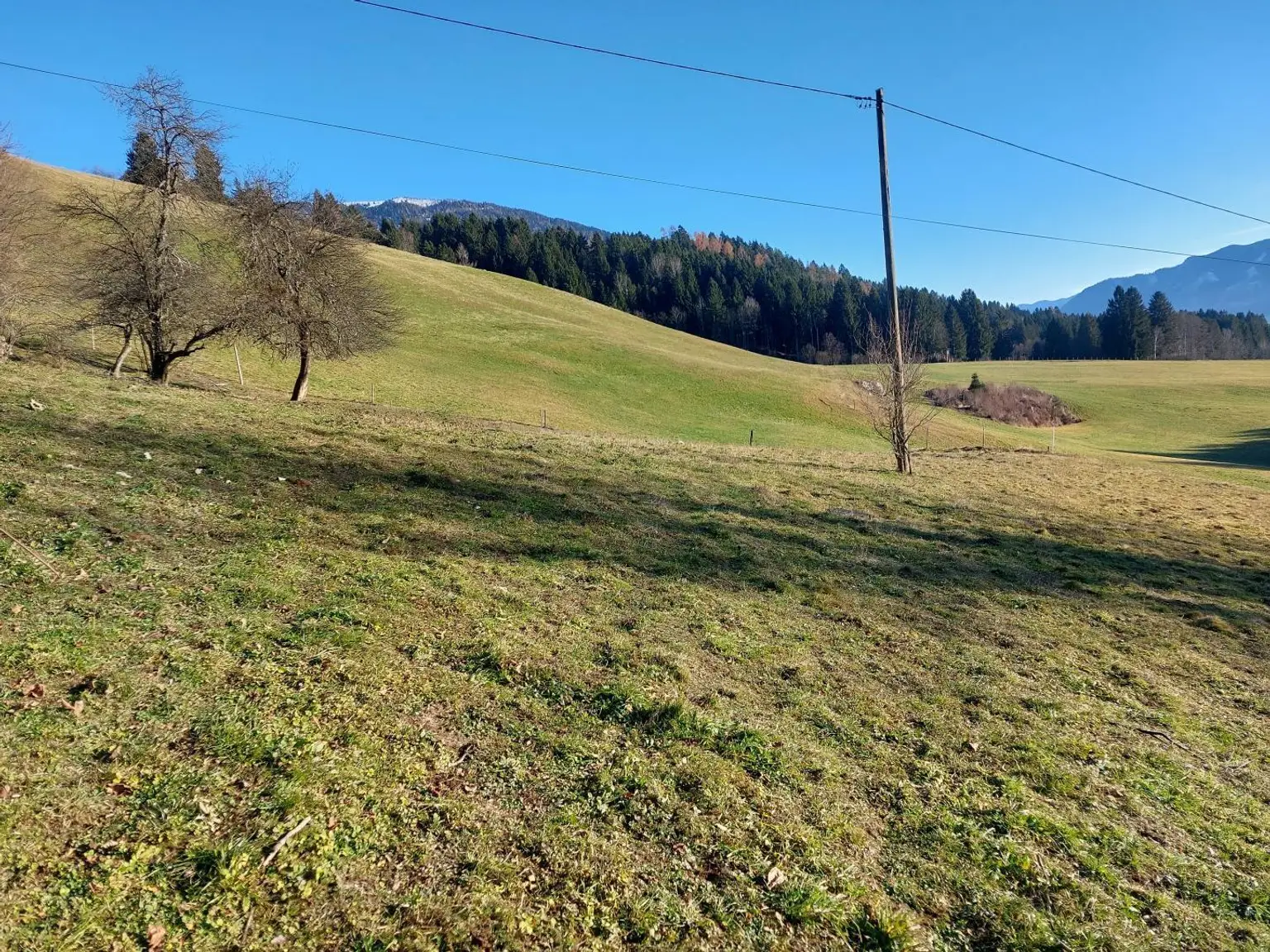 Am Fuße des Mirnock