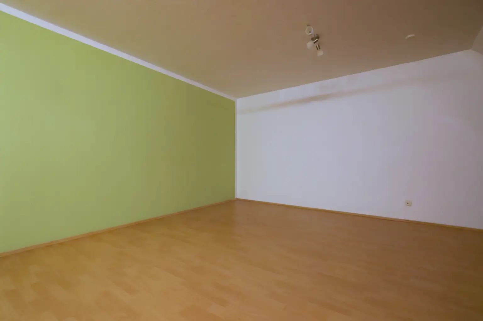 Wohnzimmer-/ Esszimmer