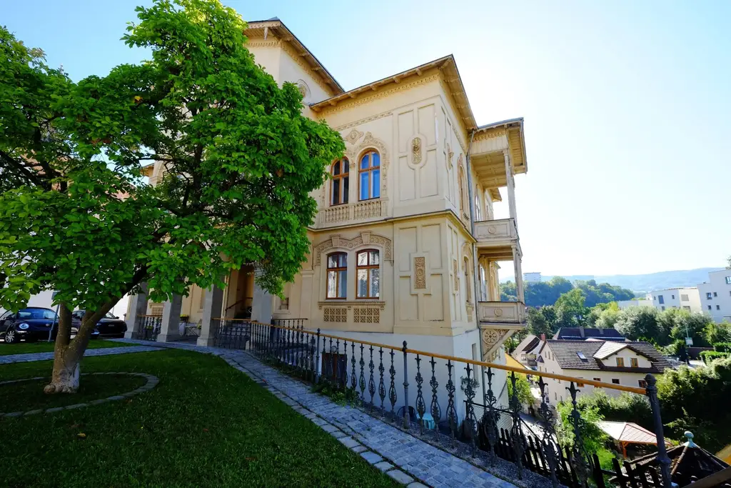 Historische Villa ALMEROTH im Stadtzentrum- Wohnen auf 250 m2 im OG plus 4 Untermieter