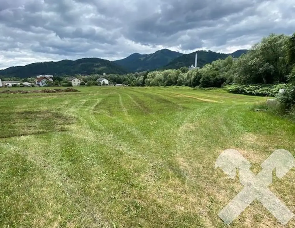 Baugrundstück in Proleb