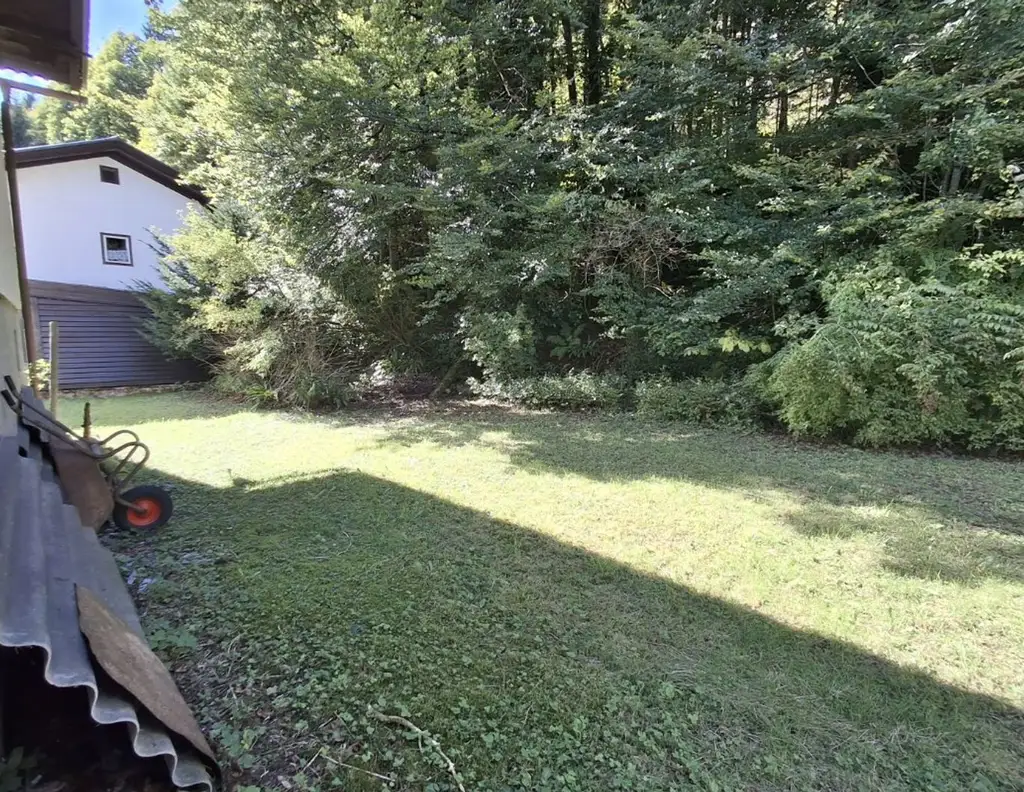 Großzügiges Grundstück mit Altbestand für Ihre individuellen Gestaltungsideen