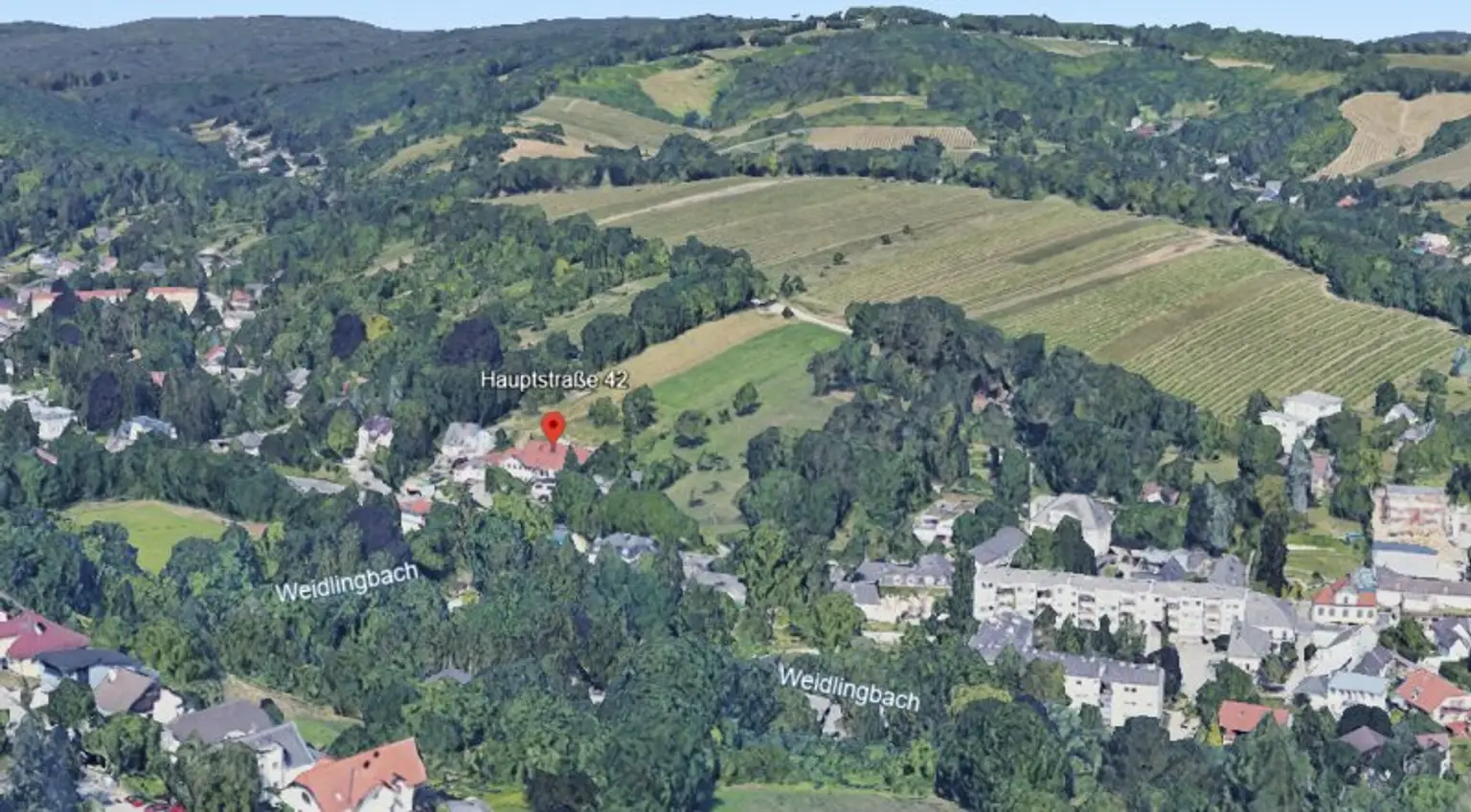 Direkt am Weinberg | Südhang-Lage mit großem Garten und eigenem Weingarten
