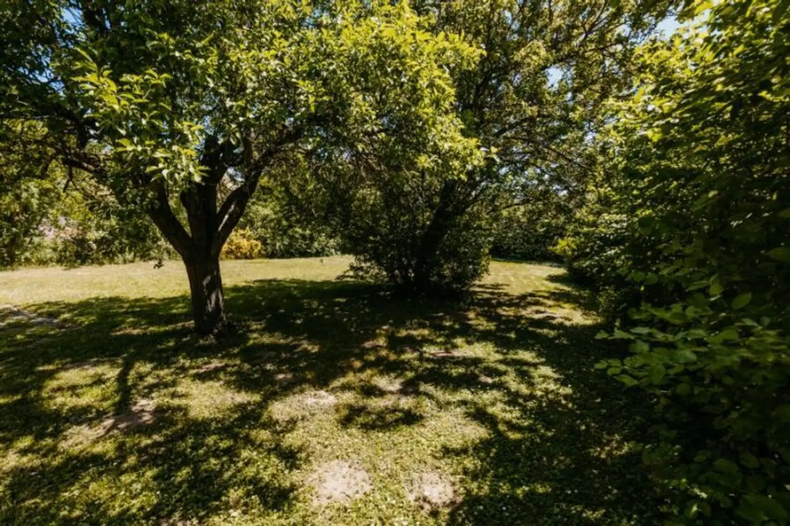 Elegantes, gepflegtes Einfamilienhaus mit Garage und uneinsehbarem Garten, Altbaumbestand