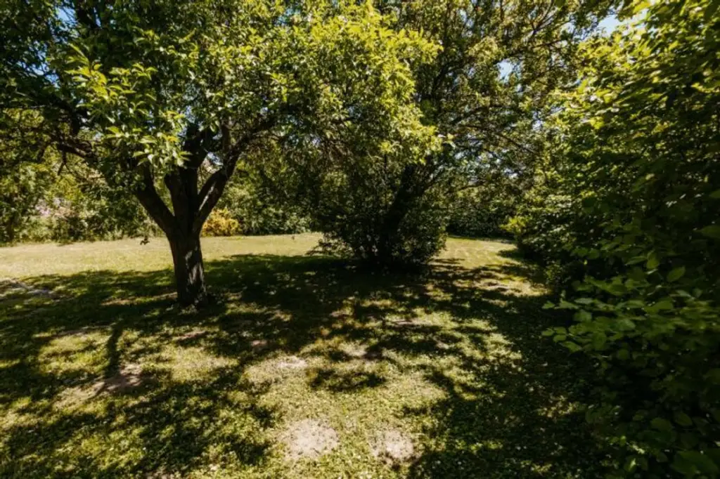 Elegantes, gepflegtes Einfamilienhaus mit Garage und uneinsehbarem Garten, Altbaumbestand