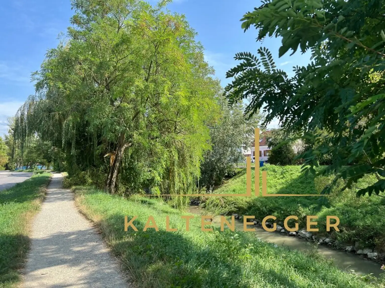 Üppiges Grün neben Haus - verkehrsberuhigte Radstraße bzw. Sackgasse