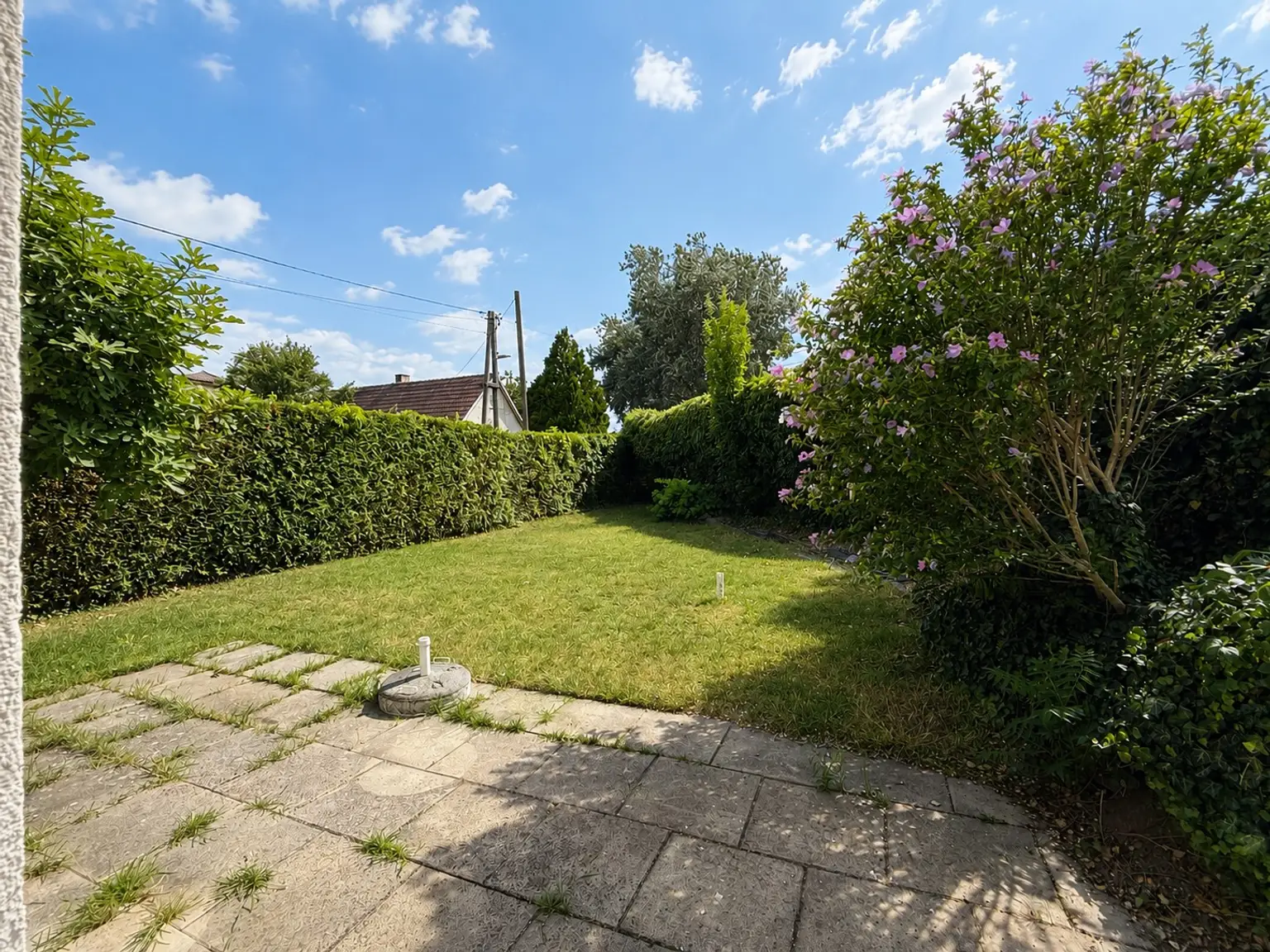 Garten.jpg