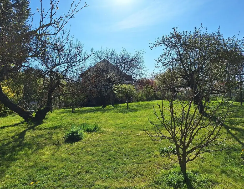 Großes Grundstück mit zwei Kaufoptionen (Teilungsentwurf)