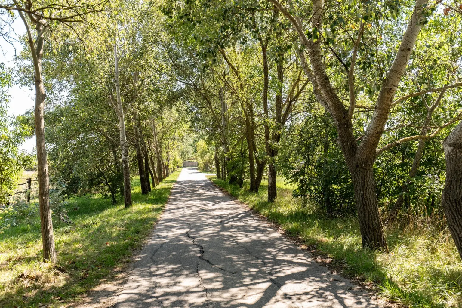 BAULAND in Neusiedl am See – Wohnen im Grünen mit bester Lebensqualität