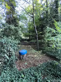 IMG_9131