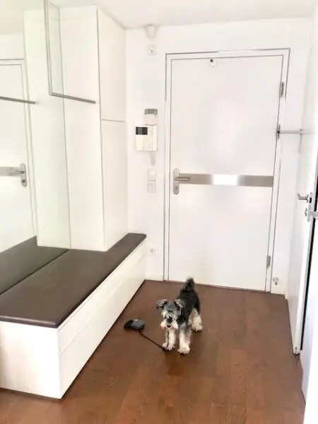 MIETWOHNUNG-INNENSTÄDTISCHE & EXQUISITE - PENTHOUSE- WOHNUNG-OHNE DACHSCHRÄGEN! mit 2,5-Zimmern in Top Lage - NASCHMARKT - 1060 WIEN!