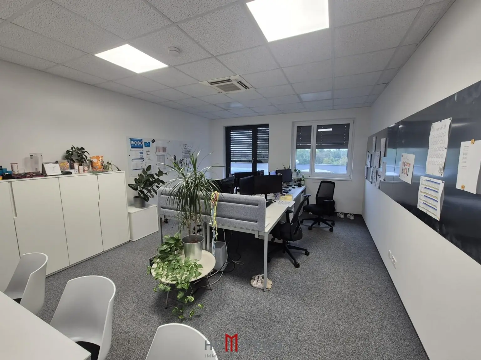 Bürofläche in Graz-Puntigam