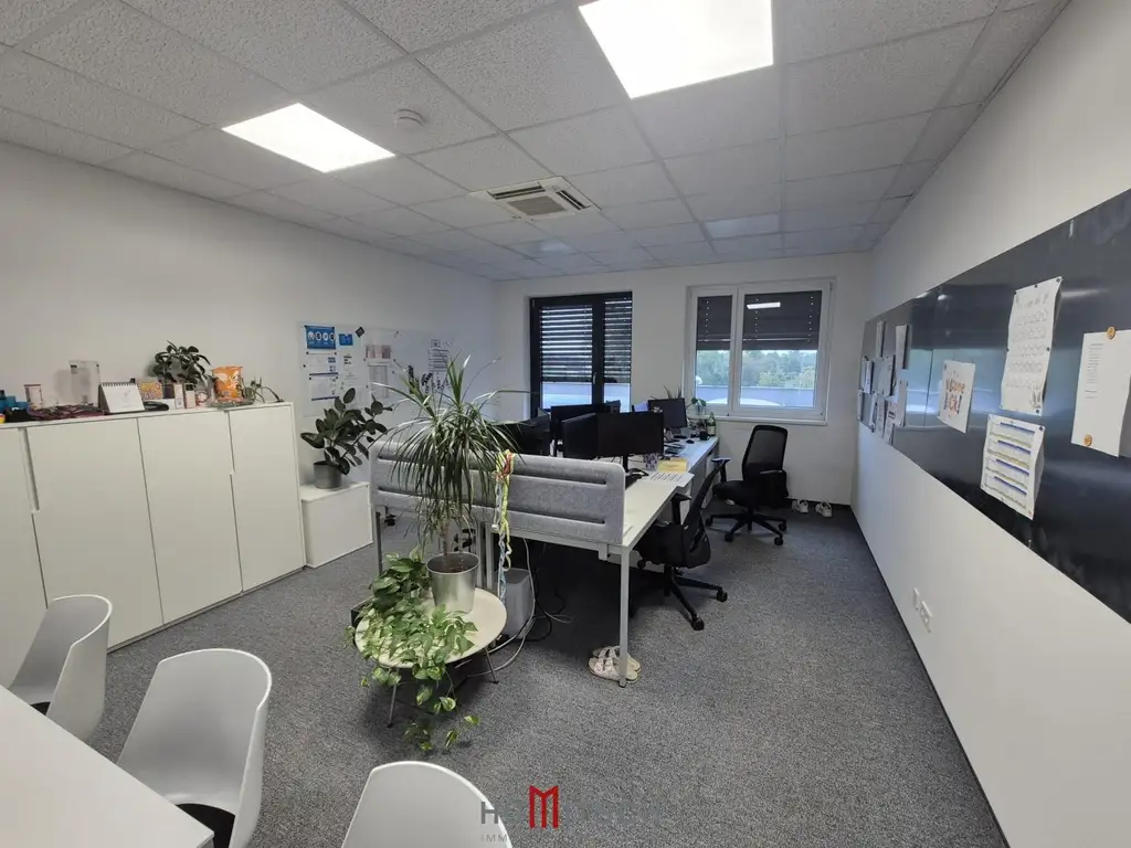 Bürofläche in Graz-Puntigam