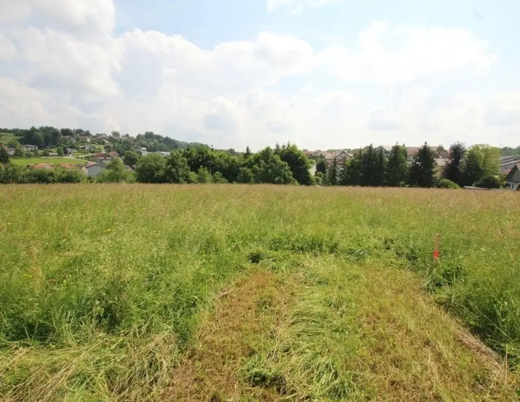1227 m² Grundstück in einer ruhigen Siedlung in 4760 Raab zu kaufen