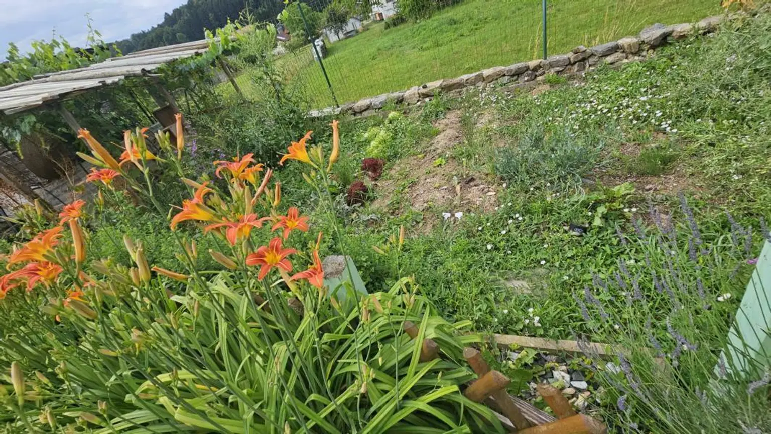 ** Traumhaftes Wohlfühlhaus in ländlicher Idylle trifft Stadtnähe  - nur 15km nach Graz **  Familienparadies mit erstklassiger Infrastruktur **
