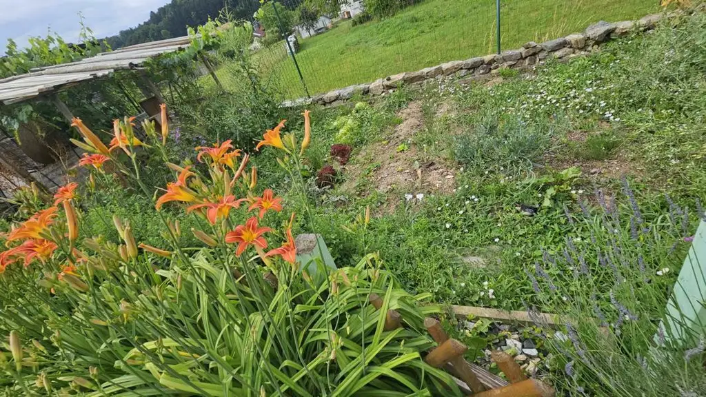 ** Traumhaftes Wohlfühlhaus in ländlicher Idylle trifft Stadtnähe  - nur 15km nach Graz **  Familienparadies mit erstklassiger Infrastruktur **